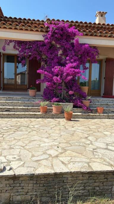 Villa Avec Jardin Au Calme A 7 Min De Cassis Roquefort-la-Bédoule Eksteriør bilde